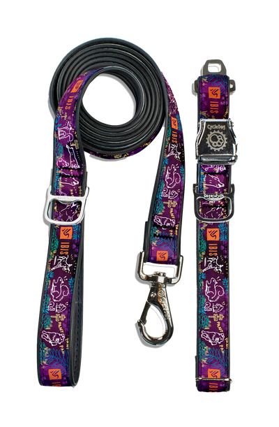 Ibis Dog Collar & Leash