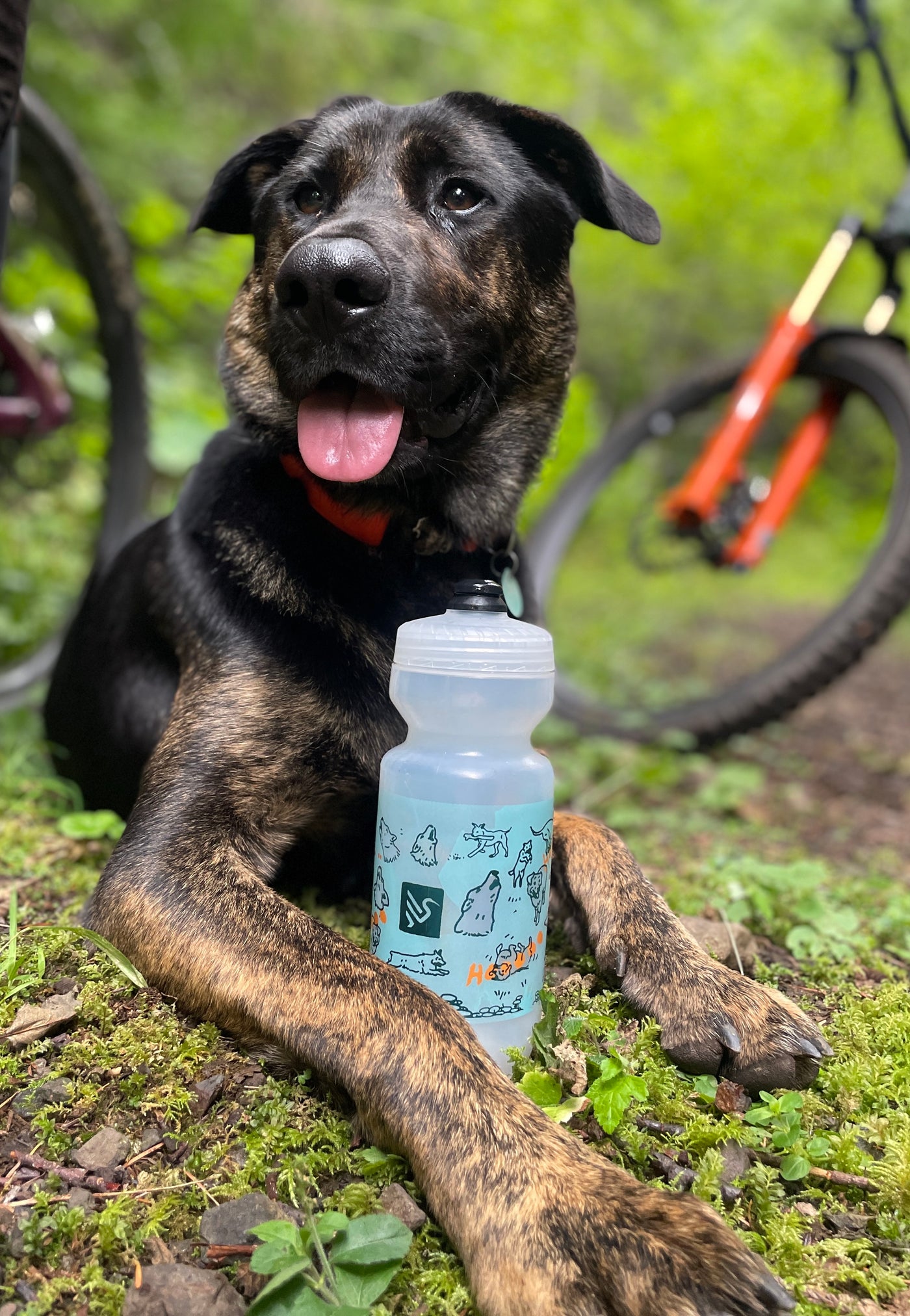 Ibis Trail Pup + Friends Bottle - 22oz Purist